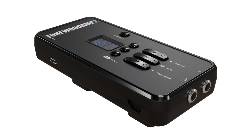 ToneWoodAmp2 USB and audio ports, angled view