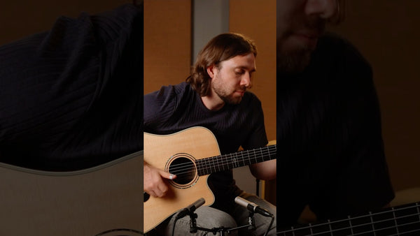 Acoustic Guitar Effects Without Pedals, App Control Demo | ToneWoodAmp2